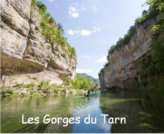 Chambre Au Calme Avec Spa Privatif Gratuit Sud Aveyron Les Palmiers Des Causses Saint-Rome-de-Tarn Zewnętrze zdjęcie