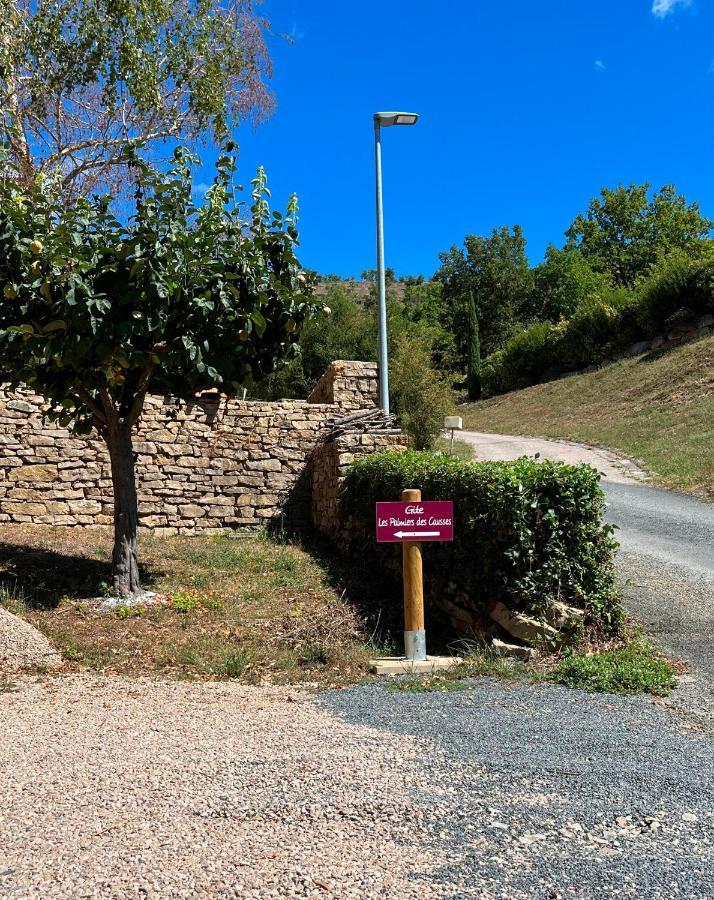 Chambre Au Calme Avec Spa Privatif Gratuit Sud Aveyron Les Palmiers Des Causses Saint-Rome-de-Tarn Zewnętrze zdjęcie