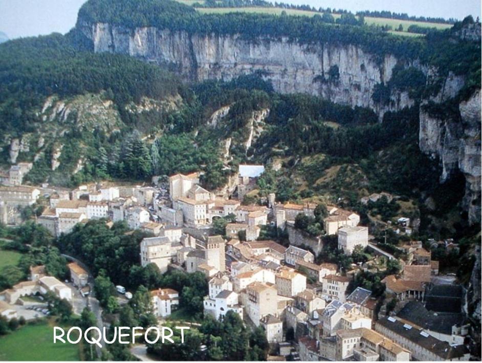 Chambre Au Calme Avec Spa Privatif Gratuit Sud Aveyron Les Palmiers Des Causses Saint-Rome-de-Tarn Zewnętrze zdjęcie